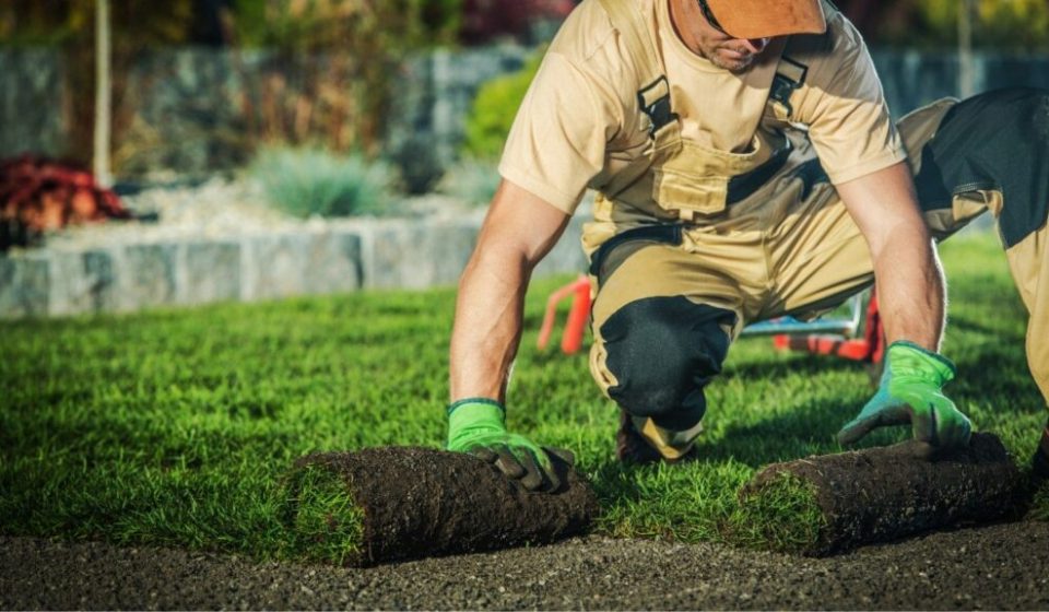 How to Choose the Right Topsoil for Your Connecticut Garden